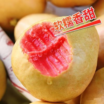正宗红心土芭乐新鲜小番石榴香甜红肉巴乐果软心当季减脂水果