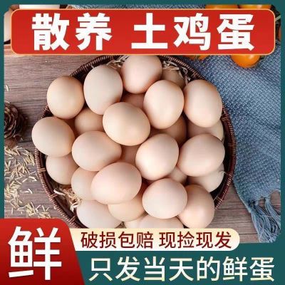 正宗大别山农村散养土鸡蛋30枚 40枚   现捡现发包新鲜优惠商品图片