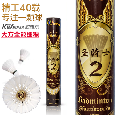 ���ڲ��������ڵ�Ͳ��Ψ��ʥ��ʿ2���Ѽ�ؼ�����ë������ʹ�רҵ������ 132Ԫ