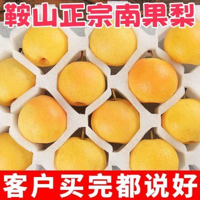 正宗辽宁鞍山南果梨薄皮多汁产地直发东北海城特产新鲜南果梨整箱