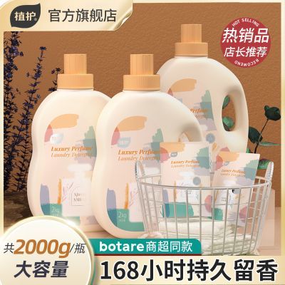植护香水洗衣液家用实惠装初夏樱花持久留香味洁净护衣袋装补充装