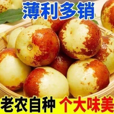 正宗山东沾化冬枣脆甜大果一箱应季水果,产地直发,当天采摘,