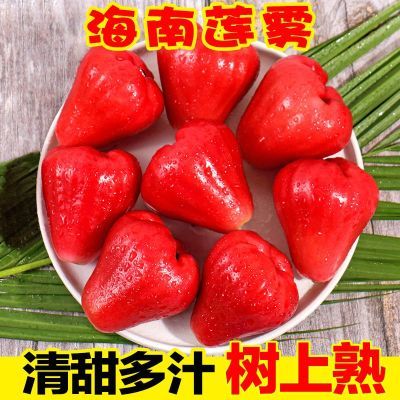 海南三亚莲雾水果当季现摘热带仙女果红宝石雾莲果整箱批发