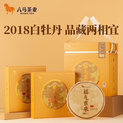 ڲ12ͬҶĵؼüն 999Ԫ