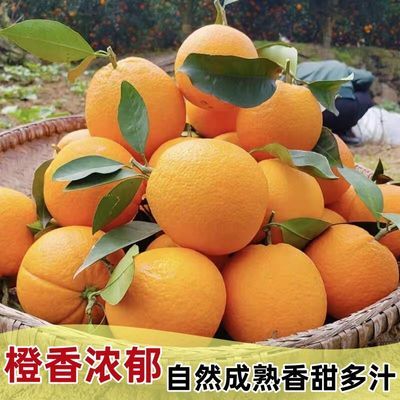 正宗脐橙新鲜橙子湖北鲜甜多汁孕妇水果纽荷尔薄皮大果整箱批发