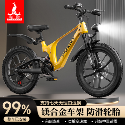 ���ڲ�������˶�ͯ���г�˫����þ�Ͻ𳵼ܵ�/����6-13���д�ͯѧ��ɽ�س� 487Ԫ