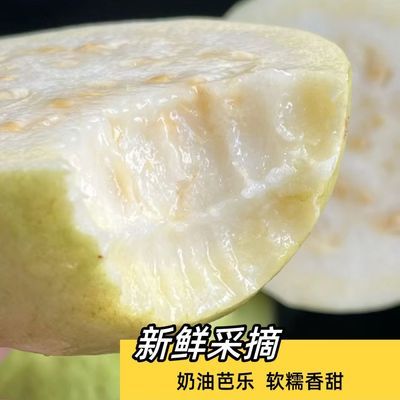 冰淇淋口感白心芭乐新鲜水果番石榴心软软心奶油低卡低脂大果