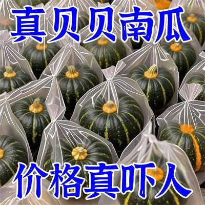 【正宗真贝贝】认准好品质南瓜板栗味粉糯红番薯批发孕妇宝宝辅食