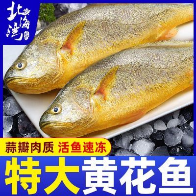 ڲشƻ㺣ʻٶ㺣ˮ 76.2Ԫ