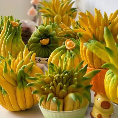 【佛手】正宗云南高山基地现发懒人必备香味超浓造型独特高级摆件