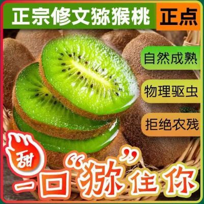 正宗贵州修文绿心猕猴桃新鲜水果贵长猕猴桃当季孕妇水果整箱包邮