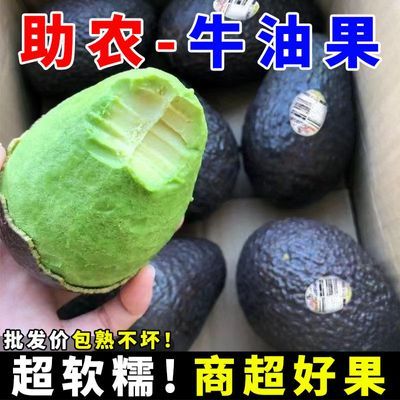 【精品】云南哈斯牛油果新鲜水果应季孕妇婴儿水果整箱辅食批发价