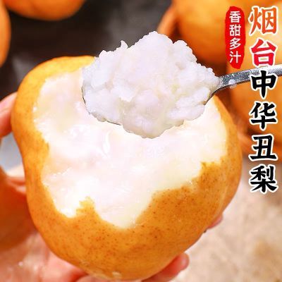山东烟台中华丑梨太婆梨莱阳现摘啤梨软梨子新鲜孕妇宝宝老人水果