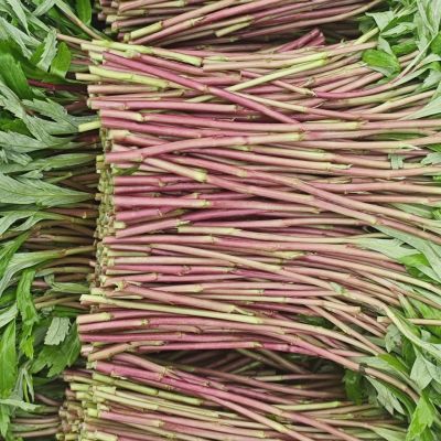 新鲜现摘红芦蒿八卦洲黎蒿野生鲜红顺丰南京农家特产自种蔬菜藜蒿