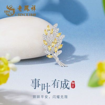 ڲߵŮػݻװ߹ռŮ 331Ԫ