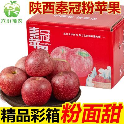 【彩箱】陕西秦冠苹果粉面苹果净重5斤75mm起新鲜水果批发一整箱