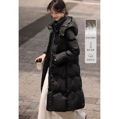 ڲXWIδ2025ʽƴ޷ñŮ 544Ԫ