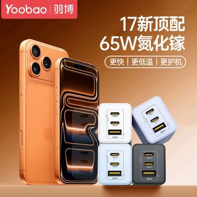  65W ڳ ʼǱ ƻ17 Ϊ  ͷ 49Ԫ