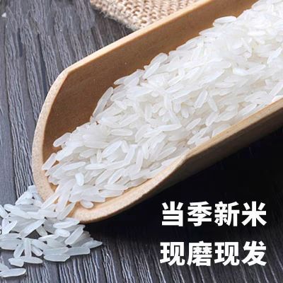 君盾当季新米农家优质大米【农家大米】长粒米10斤家庭实惠袋装