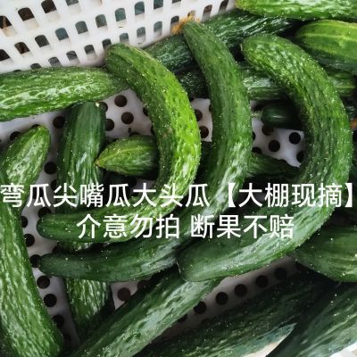 现摘现发山东次黄瓜二级黄瓜新鲜弯黄瓜新鲜蔬菜可生吃可做凉皮优惠商品图片