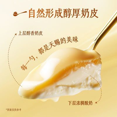 蒙牛阿慕乐奶皮子酸奶原味风味酸牛乳多规格多组合正宗蒙牛奶皮子