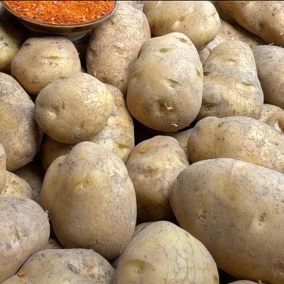 昭通泥皮土豆正宗老品种高原原装农产品