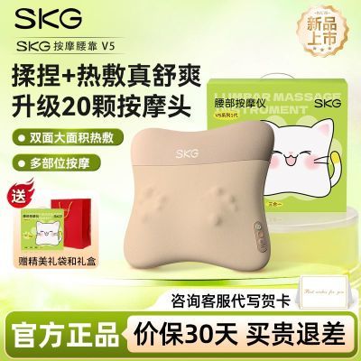 ڲƷSKGĦV5ȷĦ๦ܻ 313Ԫ