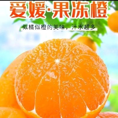 四川产地直发爱媛橙果冻橙应季水果孕妇水果当季现摘现发