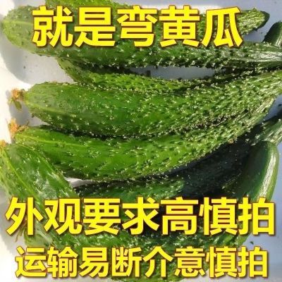 【便宜】弯黄瓜绿色青瓜现摘新鲜大瓜扭凉皮食堂专用瓜特价黄瓜
