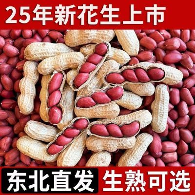 四粒红生花生带壳晒干新货农家自种新鲜晒干红皮花生带壳红衣花生