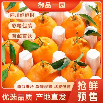 ڲƷһ԰䡿ҰҸĴժٽ880mm-375mm1215շ꡿ 13.1Ԫ