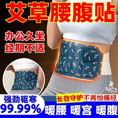 甜脆玻璃生菜种子割完长速生四季种菜籽阳台蒸汽自热暖腰贴暖宫贴