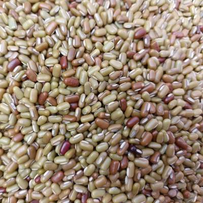 贵州懒豆安顺懒豆米豆饭豆农家自种眉豆豇豆小豆可做豆沙馅原料