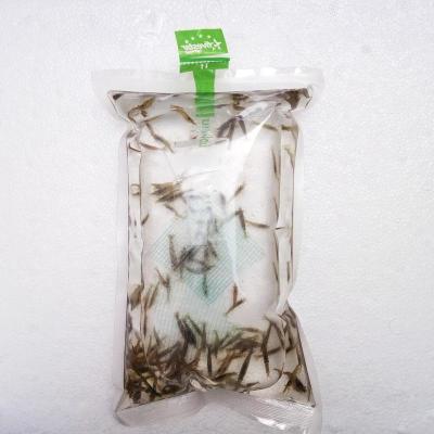 草缸黑壳虾活体套餐除藻虾淡水观赏虾草缸清洁虾造景缸除藻工具虾