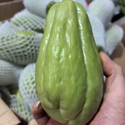 贵州佛手瓜新鲜发货捧花佛手瓜窝瓜清甜煮汤整箱发货新鲜采摘炒菜