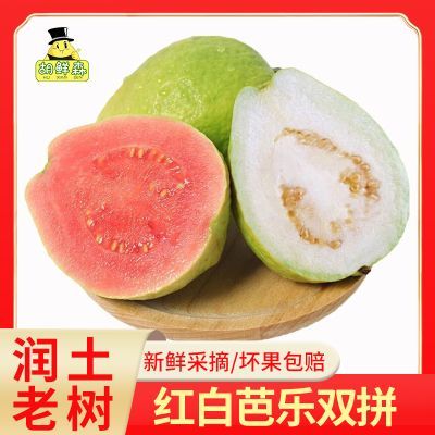 【胡鲜森】红白双拼芭乐番石榴新鲜水果当季软脆奶油软心批发价【7天内发货】