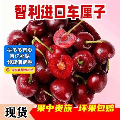 ڲֻ|˽ڳӾ450/900gӣ1J-4J 53.5Ԫ