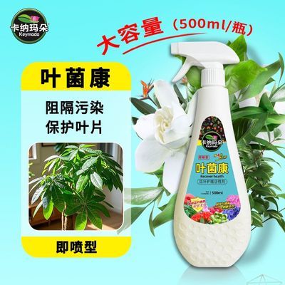 卡纳玛朵叶菌康花叶护理营养液大瓶植物活性剂喷雾护理观叶通用型优惠商品图片