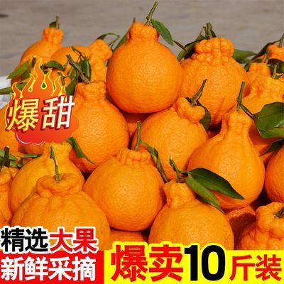 【现摘发货不新鲜包赔】正宗四川丑橘桔丑八怪当季新鲜水果不知火