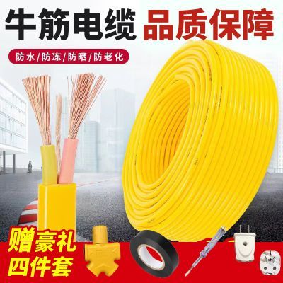 正品家用国标RVV黄色牛筋线缆二芯软线1.5/2.5/4/6平方阻燃防冻线