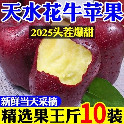【果王】现摘甘肃天水花牛苹果新鲜粉面刮泥宝宝辅食蛇果应季水果