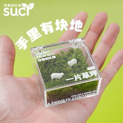 懒人草坪苔藓微景观桌面办公室创意绿植摆件diy礼物毕业季礼物