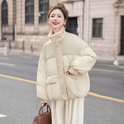 ڲ˿2025¿Ů90쵥ſ׿޷ 479Ԫ