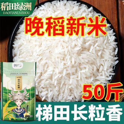 ���ڲ�������������50�����ﳤ���㵱���������������״���è����ճ�׳����� 99.9Ԫ