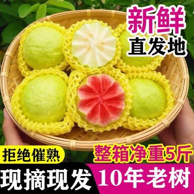 红心奶油芭乐大果软糯香甜低糖西瓜胭脂藩白心番石榴水果新鲜批发