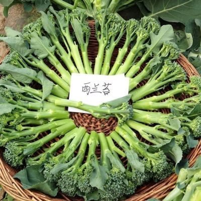 【花心】甜杆西兰苔新鲜西兰苔花心湖北露天时令蔬菜组合菜