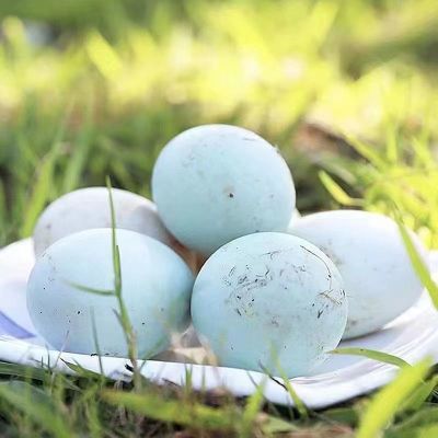 70-79克新鲜鸭蛋绿壳孕妇农家青白批发特价生态麻鸭整箱现发散养