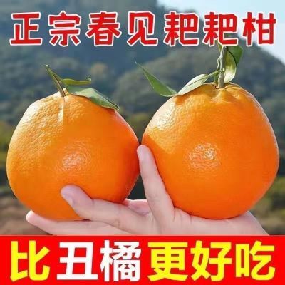 搶春见粑粑柑10斤元14.9味道酸甜可口个个多汁https://p.pinduoduo.com/Qw4tggga?sc=EFAC