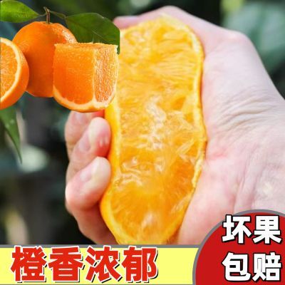 脐橙纽荷尔橙子非爱媛果冻橙丑橘冰糖非赣南脐橙湖北
