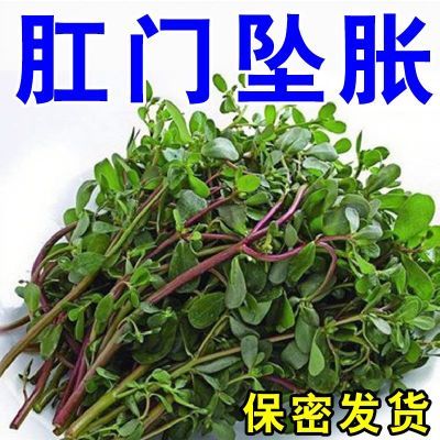 正品肛门坠胀肛门肿胀疼痛瘙痒拉不干净有异物感总想大便草本软膏优惠商品图片